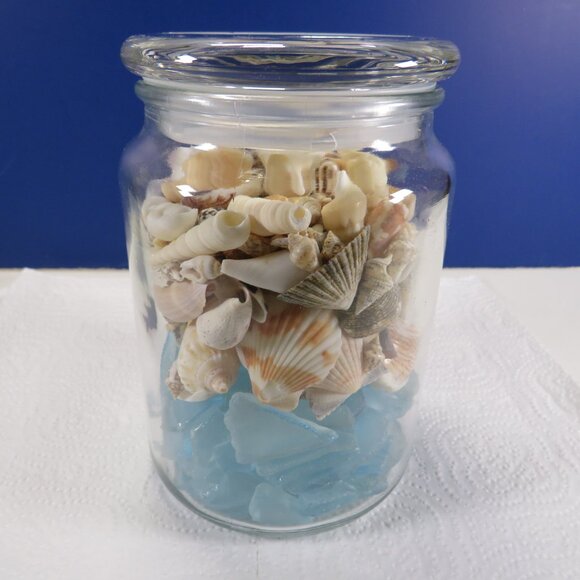 REAL sea shells & blue tumbled glass in NEW glass jar w seal & lid (+2 pounds) - Picture 6 of 16